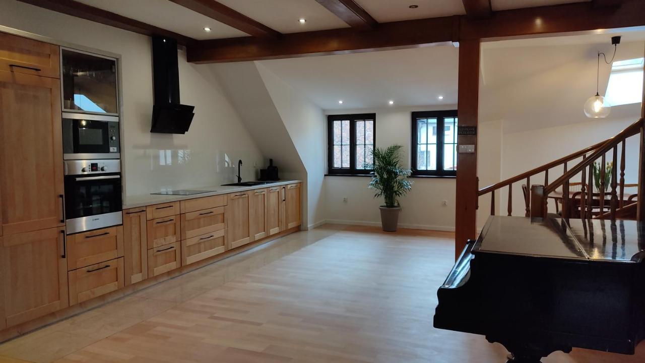 Apartamenty Ceglane Stary Toruń Εξωτερικό φωτογραφία